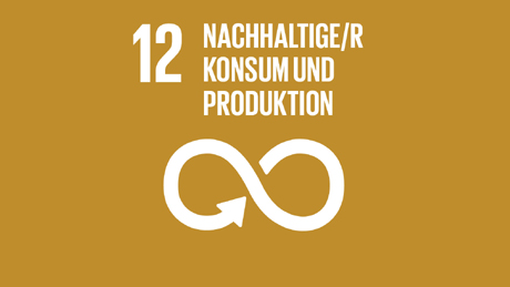 SDG 12: Nachhaltiger Konsum und Produktion