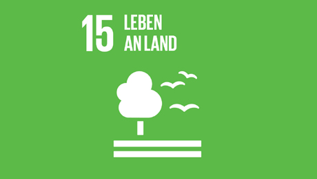SDG 15: Leben an Land