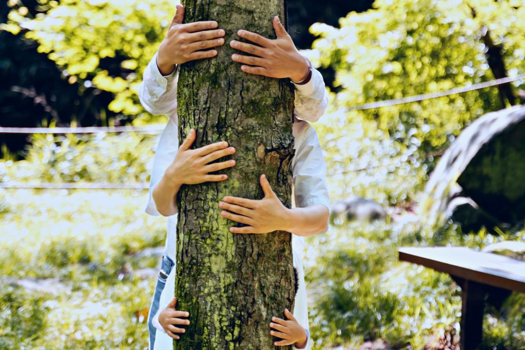 Nachhaltige Anlageberatung mit den Experten der ForestFinance-Capital.